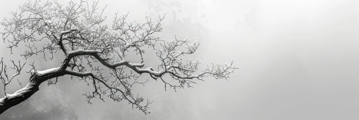 Obraz premium A tree branch covered in snow during winter
