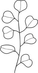 Eucalyptus line art element vector
