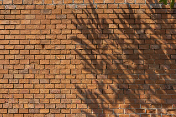 A brick wall with a shadow cast on it