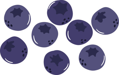 Blueberry illustration vector