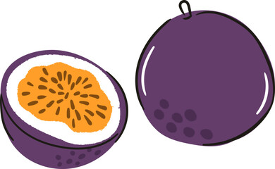 Passion fruit illustration vector