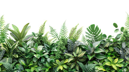 A group of plants growing side by side against a transparent background