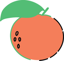 Orange illustration vector