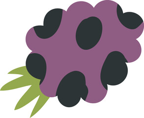 Grape illustration vector