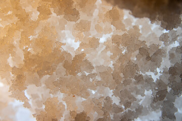 Photograph of a large amount of salt powder with a close-up lens. It makes the details of the surface appear beautiful and unusual.