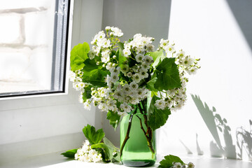 selective focus, bouquet of bird cherry blossoms on the background of the window, copy sapace.