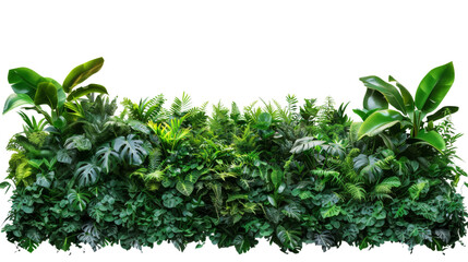 Fototapeta premium A green wall covered in various plants, showcasing their growth and vibrant colors on a transparent background