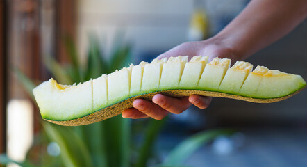 A big cut melon in the girl's hand