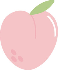 Peach illustration vector