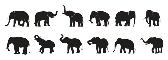 set of Elephant silhouette vector - Powered by Adobe