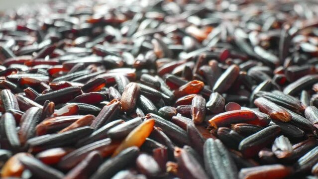 Experience the nutritional powerhouse of Riceberry rice, rich in antioxidants and essential nutrients. With its distinctive dark purple hue, it's a superfood staple for a vibrant and balanced diet.
