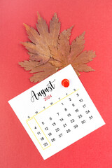 August 2024 calendar page and autumn maple leaf with thumbtack.