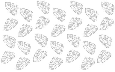 Summer monstera leaves illustration
