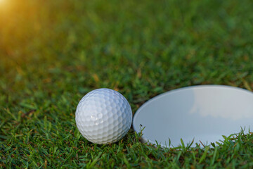 Golf ball on green grass in the evening golf course with sunshine background.