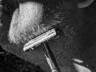 Man shaving black and white image 