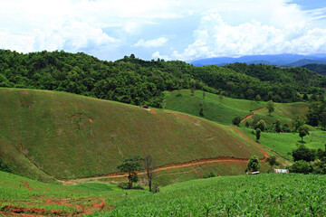 Growing corn on the mountain Deforestation, PM 2.5 problem in Nan Province, Thailand 