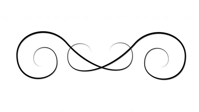 Flourish twirl, calligraphy design element, swirl self drawing animation. Alpha channel, isolated design element.