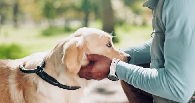 Black man, dog and rub with love in nature for walk, run or game of fetch at outdoor park. African male person or owner giving pet, animal or Labrador attention for care, support or trust in forest