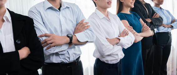 Diverse group of professional business people stand in line with cross arm gesture in modern...