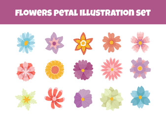 Flowers petal element illustration set