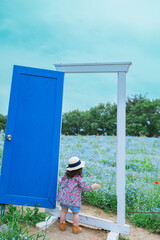 ネモフィラ畑に向かう女の子