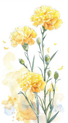 painting watercolor flower background illustration floral nature. Yellow carnations  flower background for greeting cards weddings or birthdays. Copy space.