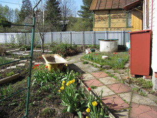 Flower garden with an old cast iron tub for collecting water and watering plants in drought.