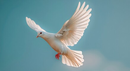 Obraz premium White Bird Flying Through Blue Sky