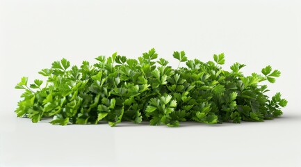 Obraz premium A Pile of Parsley on a White Background