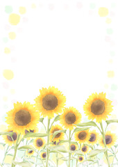 frame with sunflowers
