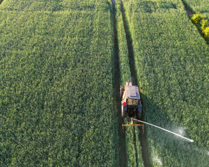 Agriculture in the field