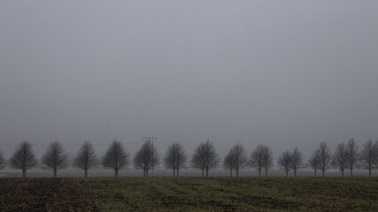 Sk&aring;ne landscape in foggy morning