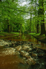 Rzeka Czerna Wielka przepływająca przez Park Dworski w mieście Iłowa w Polsce. Jest słoneczny dzień.