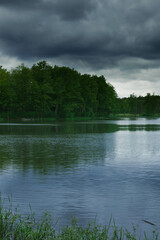 Leśne jezioro w pochmurny deszczowy dzień. Brzegi porasta zielona trawa i liściaste drzewa....