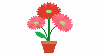 gerbera daisies on vase 