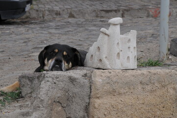 [Retro] 튀르키예 Nevşehir, Ürgüp