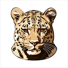 face of a ferocious leopard1