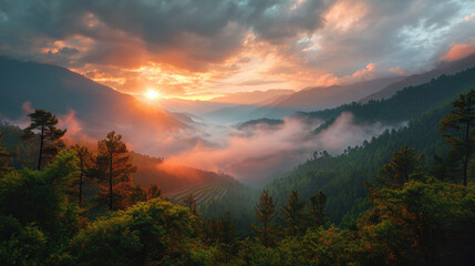 Obraz premium Mountain Sunrise and Sunset Panorama with Fog and Forest Views
