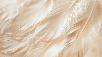 Obraz premium delicate feather pattern background in soft beige tones aesthetic natureinspired wallpaper