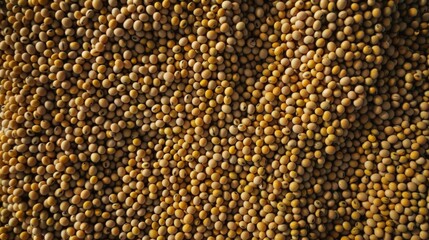 top view of a pile of soybeans