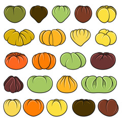 Set of color illustrations with green and yellow tomatoes. Isolated vector objects on white background.