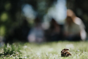 An atmospheric shot capturing the essence of a serene day in the park, with focus on a pine cone and people softly blurred in the background.