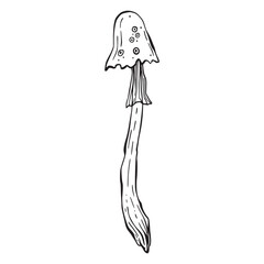 lineart magic poisonous mushroom element. Tattoo fungus design, trendy romance symbol. Witch amanita mushrooms for Halloween. Vector sketch toadstool illustration