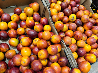 blood oranges lie on the counter in a grocery store, fruits for sale