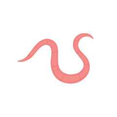 Pinworm Vektor Illustration 