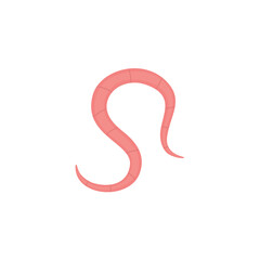 Pinworm Vektor Illustration 