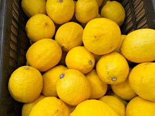 juicy lemons lie on the counter in a grocery store, fruits for sale