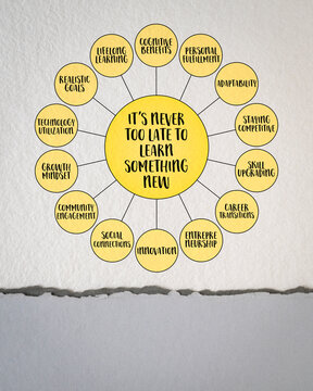 it's never too late to learn something new, the pursuit of knowledge and skill development can happen at any stage of life, iagram infographics