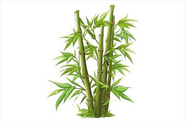 A cluster of bamboo with green Leaves and stems against a white background. BAMBOO VECTOR.
