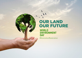 World Environment Day 2024 concept - Land restoration, desertification and drought resilience, 3d tree background. Ecology concept. We are #GenerationRestoration